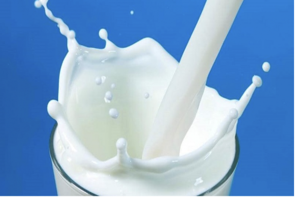 Vì sao sữa bột hỗ trợ tăng cân? 